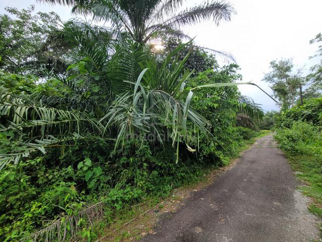 Kamunting Perak Agriculture Land 3
