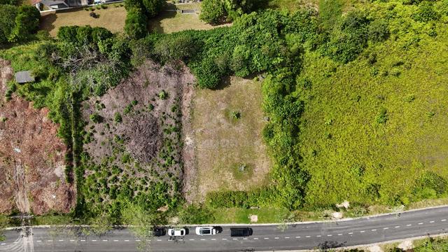 LedangHeights RARE bungalow land|freehold gated guarded|8 mins to Tuas 1
