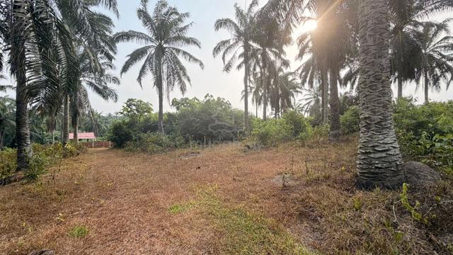 Tanah Lot Geran individu Untuk Dijual - Tehel, Melaka 1