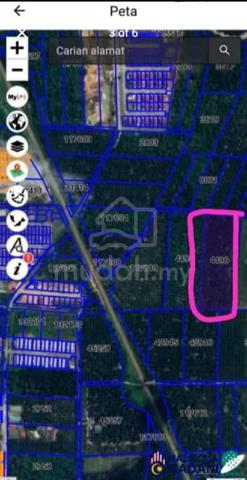 kebun kelapa sawit untuk dijual 1