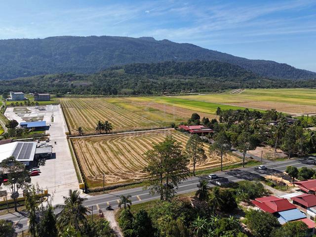 Land 9.83 Acres Located In Mukim Bandar Teroi, Yan, Kedah - Freehold ✅ 1