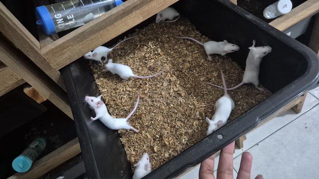 Carousel Image