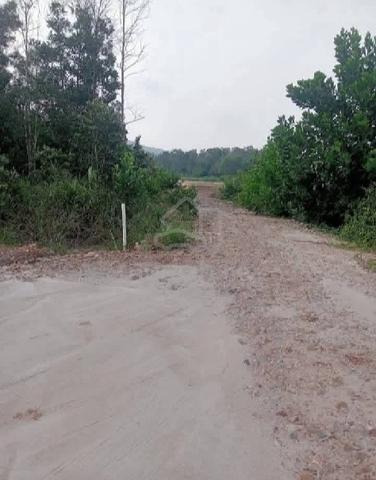 tanah siap tambung berdekatan jalan utama dikg kemasik 1
