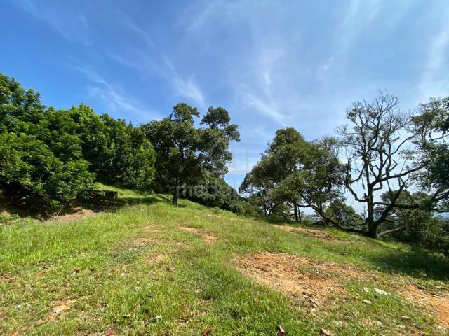 200 Acres Agricultural Land for Sale, Semenyih 1