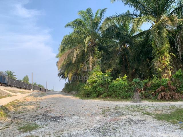 Tanah Murah di Sekitar Padang Luas ( Padang Tapong ) 2