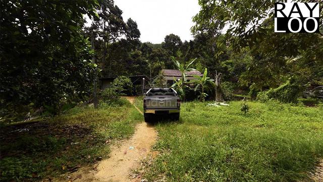 (360 VR) Air Putih Near Botanica CT 5% Harvest Return Durian Estate 1