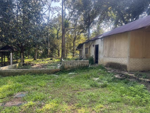 Tanah Pertanian Kg Sungai Dara, Tanjong Malim, Perak Untuk Dijual 1