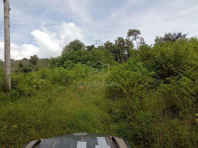 Perak Kuala Kangsar Sungai Akar Agriculture Land  For Sale 1