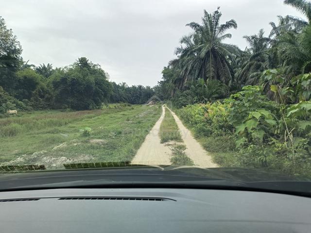 Kebun sawit 1 ekar untuk dilepaskan 1
