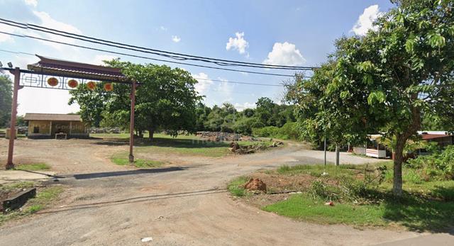 Tanah kebun 500 pokok sena 1