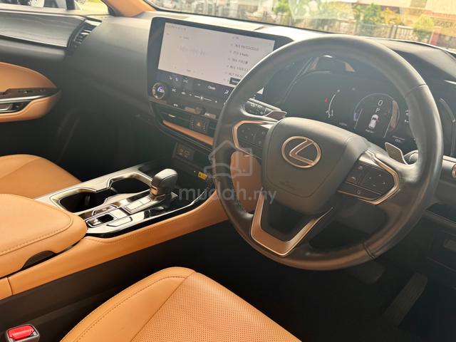2022 Lexus NX 250 2.5 LUXURY (A) - 4