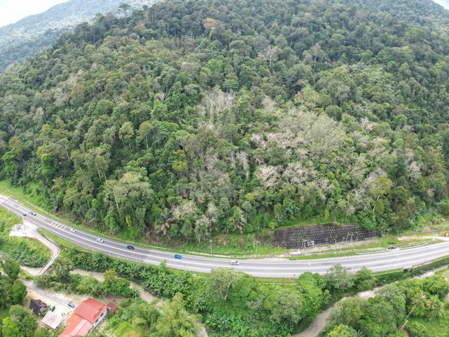 3.05 EKAR FREEHOLD NON BUMI | Tanah Pertanian Terachi Kuala Pilah 1