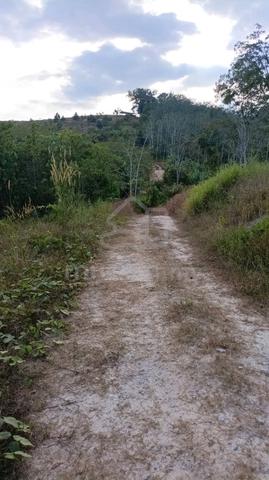 Tanah kebun getah tepi lebuhraya untuk dijual 1