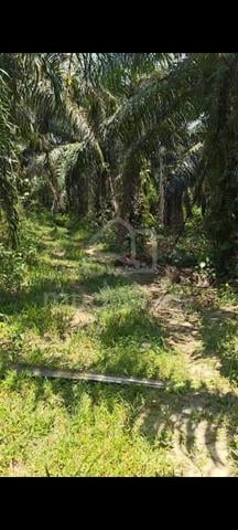 PLUS Highway Frontage Land for Sale – Nilai, Negeri Sembilan 1