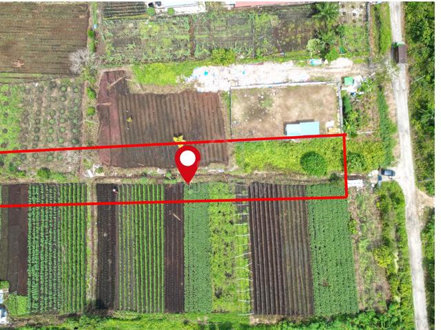 GOOD LOCATION Tanah Pertanian Klang Johan Setia Sijangkang Klang 1