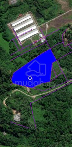 24 Mile Kuching Serian land below market for SAle 1