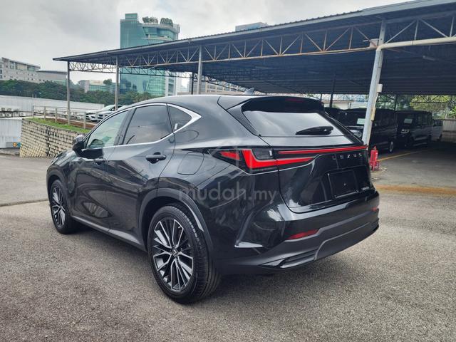 2022 Lexus NX250 2.5 LUXURY (A) - 3