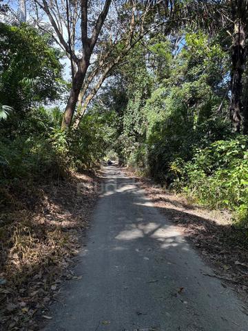Tanah kebun di Manong 1