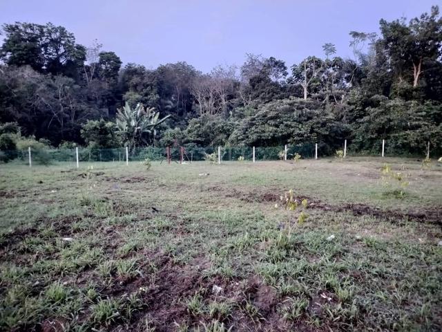 Residential land for sale 1