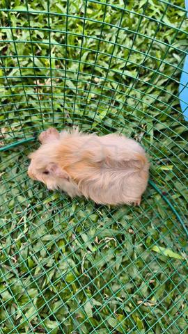 Carousel Image Selected