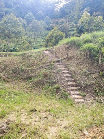 Agriculture Durian Farm Land,Bentong 1
