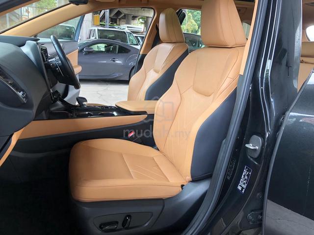 2023 Lexus NX250 2.5 LUXURY HUD 360V BSM P/Roof PS - 5