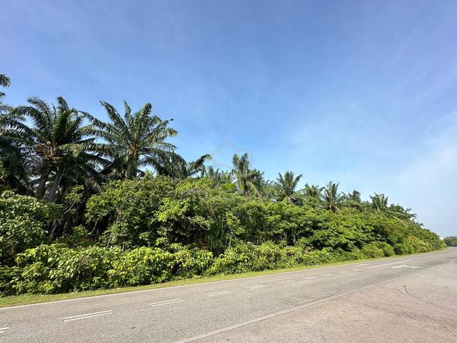 Agricultural Land Beside Scientex Project ,Taman Kelisa Ria For sale 1