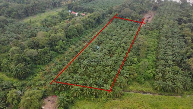Tanah Sawit di Kampong Gajah FREEHOLD Nego 1