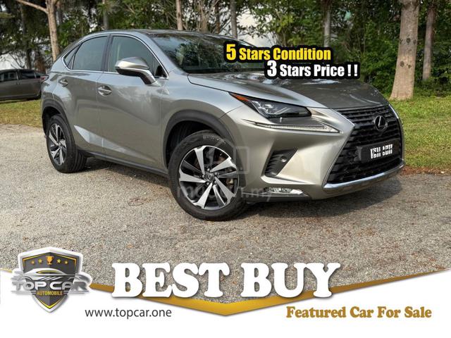 2018 Lexus NX 300 2.0 PREMIUM (A) - 1