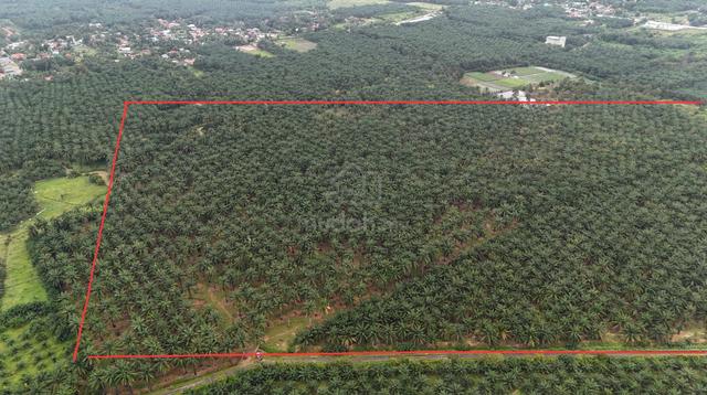 Development Land Padang Serai Kulim Kedah FREEHOLD 1