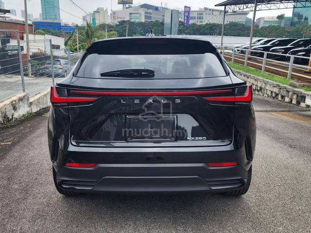 2022 Lexus NX250 2.5 LUXURY (A) - 5
