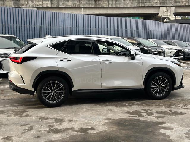 2023 Lexus NX250 2.5 BASE ,Super Good Condition - 5
