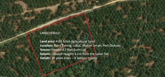 4.92 Acres Agriultural Land, Bukit Palong, Lukut, Port Dickson, N9 1