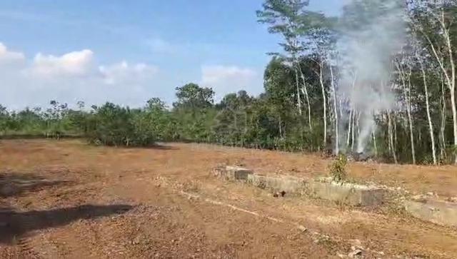 Tanah Untuk Disewa 3
