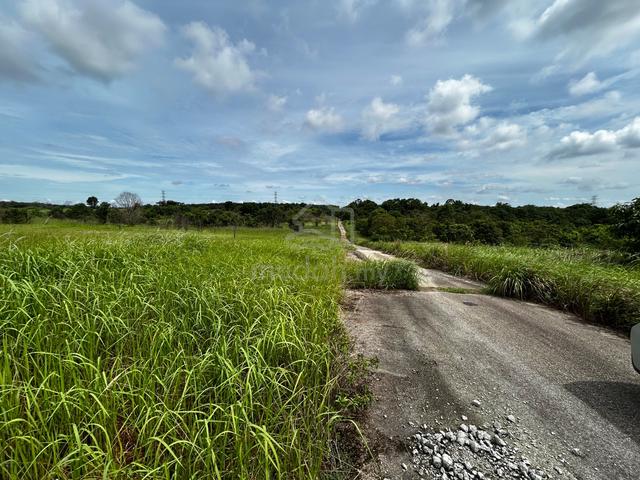 Tanah Pertanian Mukim Tanjung Surat, Sg Lebam @ Pengerang Untuk Dijual 1