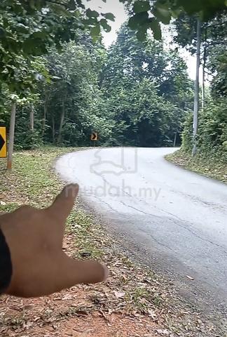 Tanah 1st Lot Kg. Sewai Untuk Dijual 1