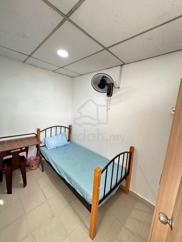 Jelutong couple Room/single room Rent 1