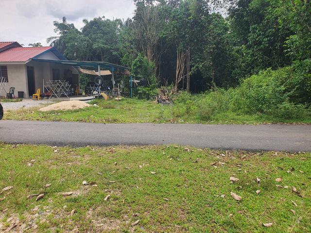 1 lot banglo 597mp kg Nasi Dingin Kuala Telemong 1