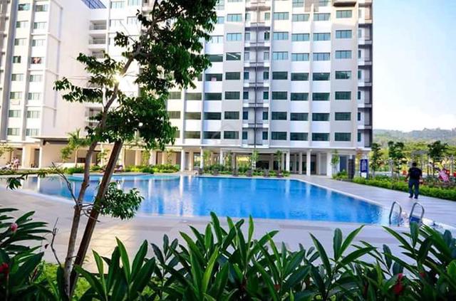 Suria Rafflesia 1