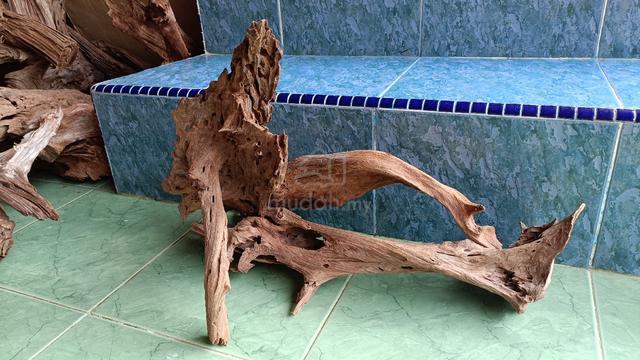 aquascape driftwood setup 3 kayu - photo 3 of 4