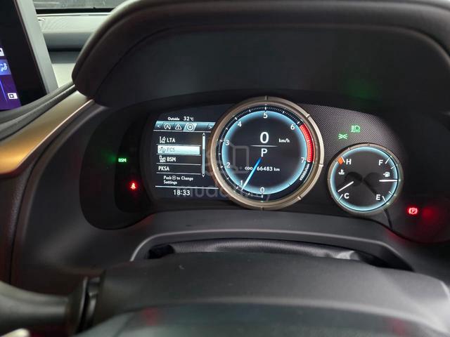 2021 Lexus RX300 2.0 F SPORT - 2
