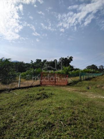 Palm Oil Plantation For Sale 1