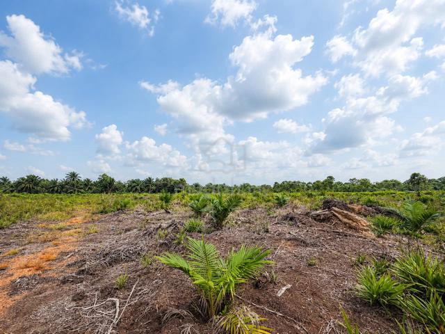 Pontian 6acre land @only needed RM570K+- @ parit sikom @ agricultur 1