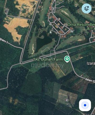 Free Hold Land For Sale At Gapam Area near Orna, Bemban Jasin Melaka 1