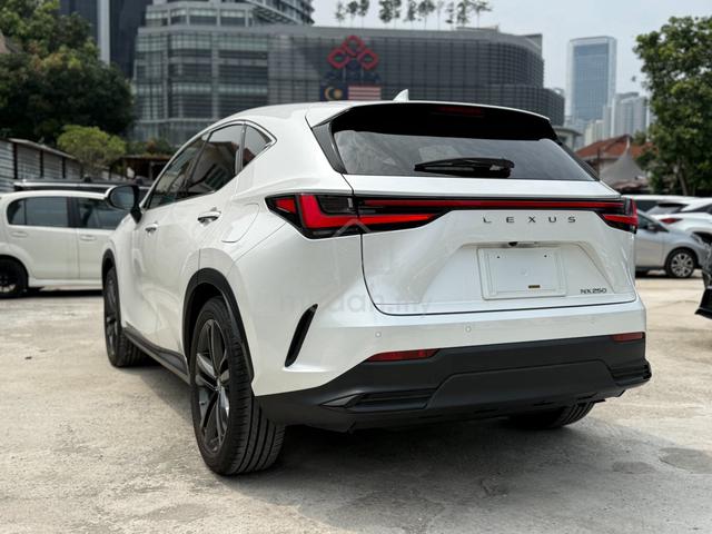 2022 Lexus NX250 LUXURY 5A SPEC 7k Low Mileage - 2