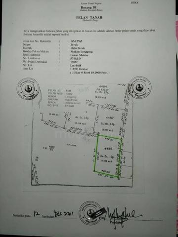 Tanah Pertanian untuk Dijual – Kampung Chepor, Lenggong, Perak 🌾 4