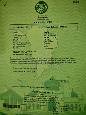 Tanah Pertanian untuk dijual 1