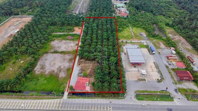 Tanah Sawit Tepi Jalan 1