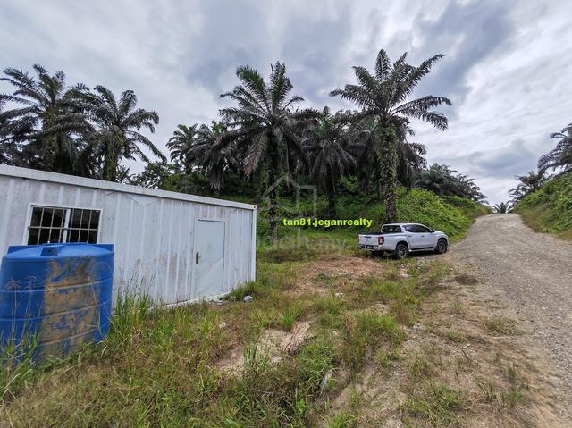 Lahad Datu (Gravel Roadside) Palm Oil Land NT90acs ((( For Sale ))) 1