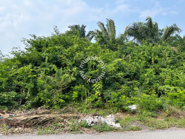 (8019 SQFT) Bungalow Lot Kg Pasir Mas Rantau 1